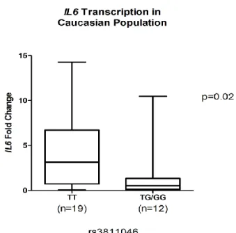 Figure 3. Transcription of IL37, IL1B, and IL6  in samples with different genotypes  at  the  rs3811046  locus  of  IL37  from  Caucasian  participants