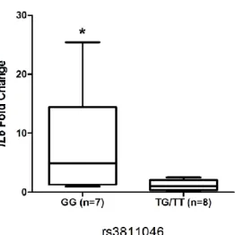 Figure 4. Transcription of IL37, IL1B, and IL6  in samples with different genotypes  at  the  rs3811046  locus  of  IL37  from  African  American  participants