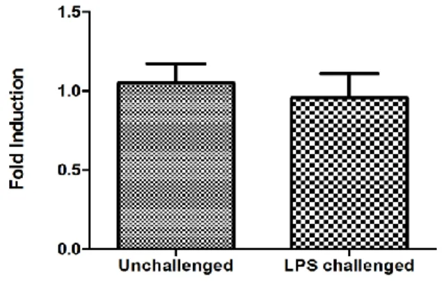 Figure 7. Transcription of IL1B, IL6 and IL37  in  gingival  fibroblasts  upon challenge  with  E.Coli LPS (1μg/ml)  at different time points