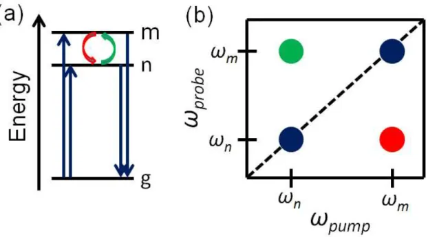 Figure  1.3.    2D  spectroscopy  is  able  to  follow  dynamics  which  involve  molecular  absorption  at  ω m( ω n),  followed  by  probe  pulse  interaction  at  ω n( ω m)