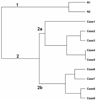 Figure 1Hierarchical clusteringHierarchical clustering. The analysis was performed using the Euclidean distance and the average linkage algorithm