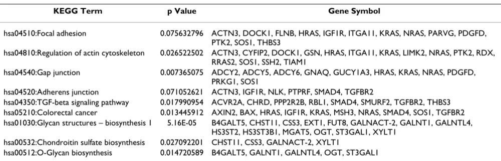 Table 3: KEGG enriched terms containing genes over-expressed in cluster 2b