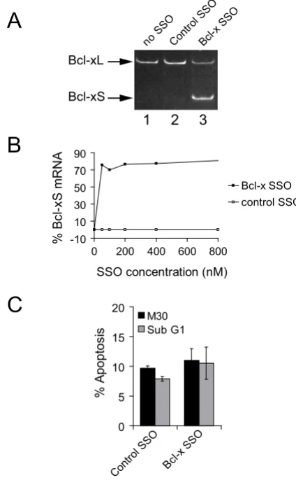 Figure 2Specific control of endogenous Bcl-xS splicing by modified antisense RNA oligonucleotides in living cells
