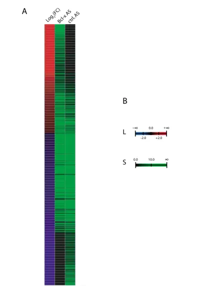 Figure 4Transcriptome analysisTranscriptome analysis. (A) A Heat-map for the Bcl-x AS versus control AS subtraction profile is shown