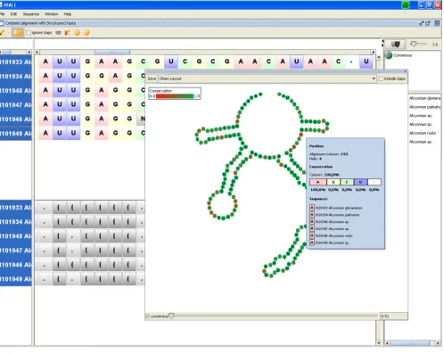 Figure 2Structure viewer in consensus modeStructure viewer in consensus mode. The structure viewer enables a compact visualization of sequence and secondary structure alignments by plotting the consensus structure