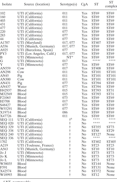 TABLE 2. STs and ST complexes