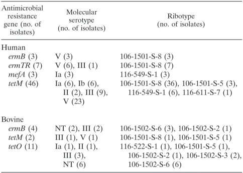 TABLE 3. Distribution of antimicrobial resistance genesamong S. agalactiae serotypes and ribotypes