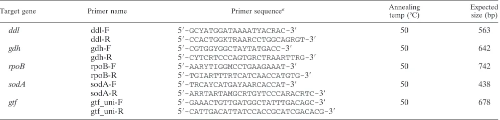 TABLE 1. PCR primers used to amplify ddl, gdh, rpoB, sodA, and gtf gene sequences