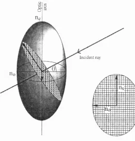 Fig. 3.6 Index E llip soid representation o f elfective refractive index