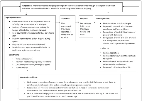 Fig. 1 Logic model for DCM
