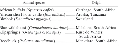 TABLE 2. Clinically healthy animals other than roan or sableantelopes whose blood samples were examined by RLB andfound to be positive for Theileria sp