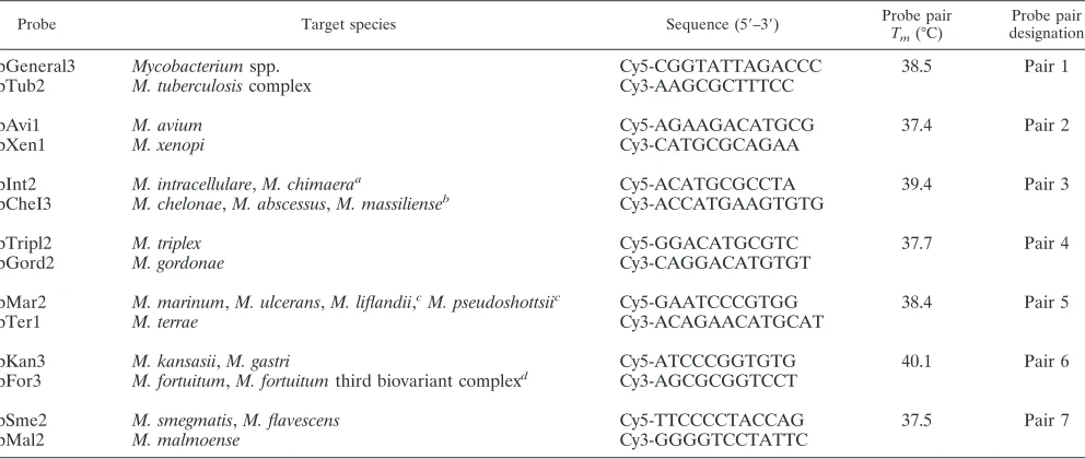 TABLE 1. Oligonucleotides used in the study