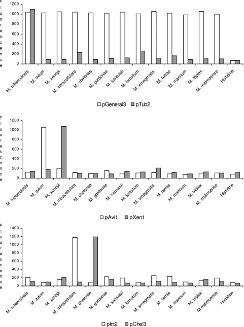 FIG. 1. Examples of Nanochip hybridization results for three sequence-selective ﬂuorescently labeled probe pairs against the 13 mycobacterialspecies tested