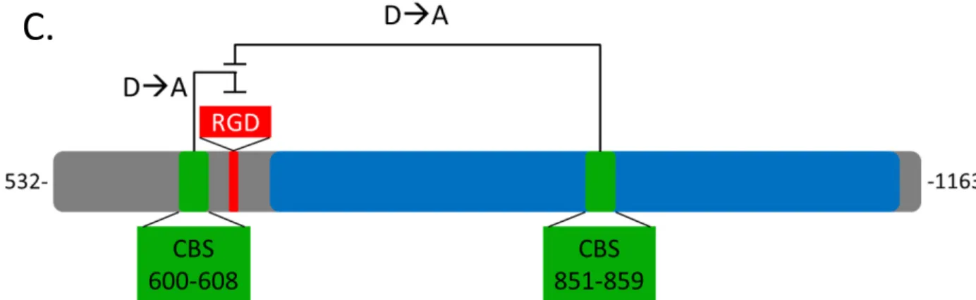 Figure 3.4 contd.