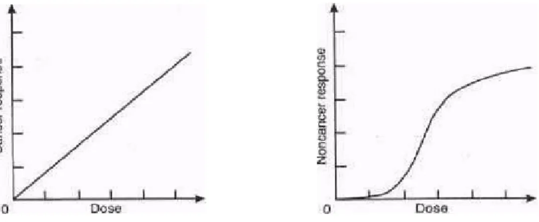 Figure 2-3. Dose-response relationship: linear non-threshold dose-response curve (left)  and nonlinear threshold dose-response curve (right) (Moeller, 1997)