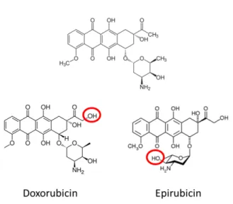 Figure 2: Anthracycline Chemical Structures 