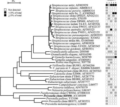 FIG. 6. Bacterial proﬁles of the soft palate of healthy subjects. Distribution and levels of bacterial species/phylotypes among ﬁve subjects areas described for Fig