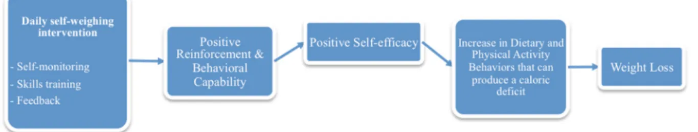 Figure 3: Conceptual Model of the Intervention 