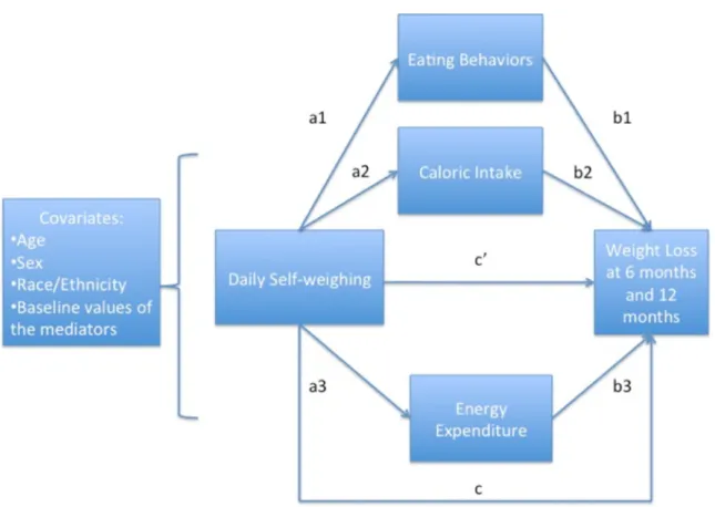 Figure 4: Multiple Mediation Model 