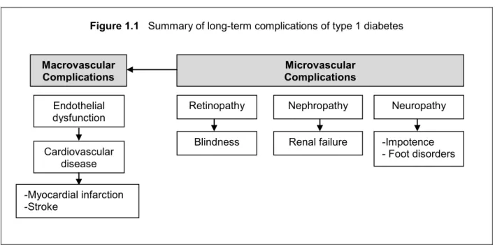 Figure 1.1   Summary of long-term complications of type 1 diabetes 