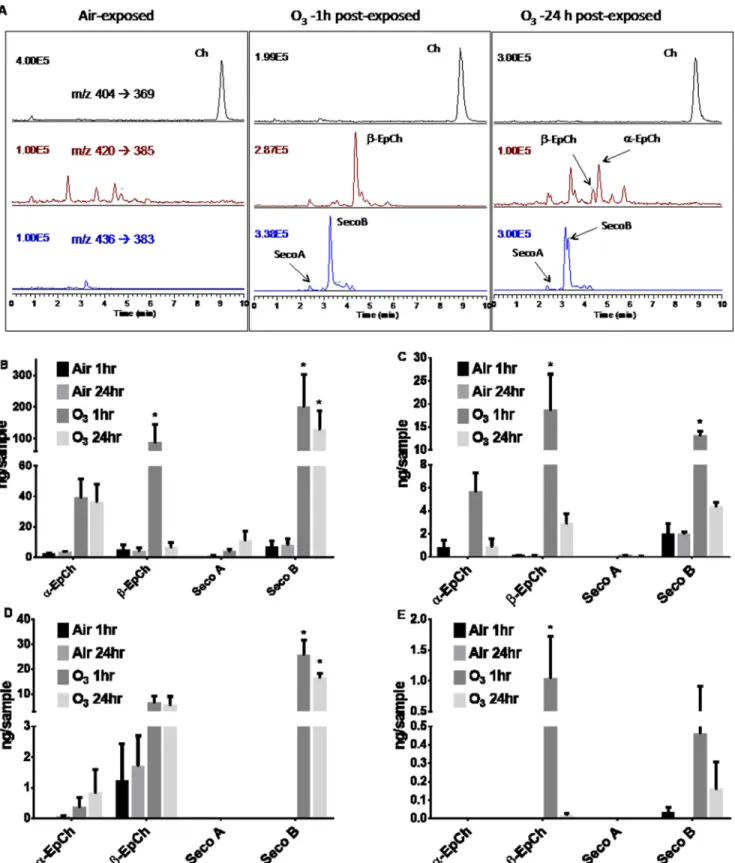 FIGURE 2. Oxysterol concentrations measured in cells and apical washes exposed to filtered air or O 3 and their HPLC-MS profiles