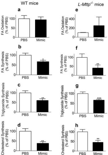 FIGURE 7. MiR-30c mimic reduces hepatic lipid synthesis independently of MTP function