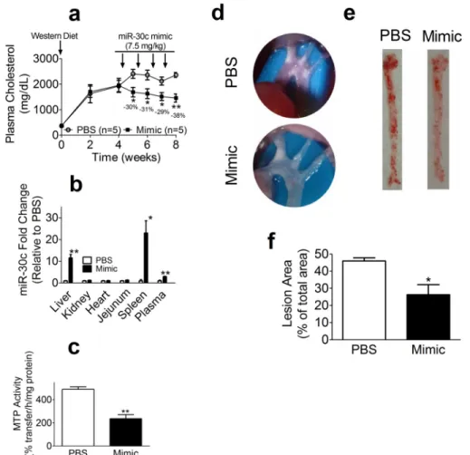 FIGURE 8. Global changes in hepatic gene expression pursuant to miR-30c mimic accretion