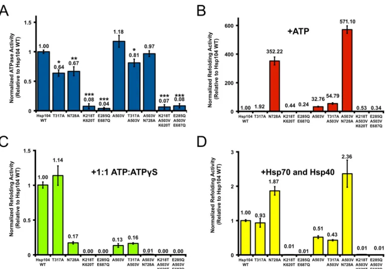FIGURE 5. A potentiated Hsp104 variant can overcome deficits in ATP hydrolysis at NBD1 or NBD2 in vitro