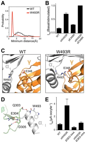 FIGURE 6. W493R rewires intersubunit interactions. A, DMD simulations indicate an electrostatic interaction between ␣ 2 Arg-493 (red) and ␥Glu-348 that is absent in the WT ␣ 2 -subunit (black)