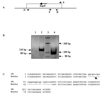 TABLE 1. Correlation of gold standard identiﬁcation of mycobacterialisolates derived from bovine samples with PCR-RFLP assay