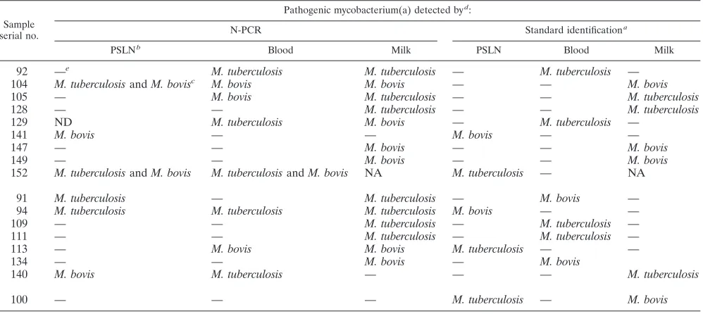 TABLE 3. Comparative analysis of detection of pathogenic mycobacteria in cattle-derived samples by N-PCR and by standardidentiﬁcation tests