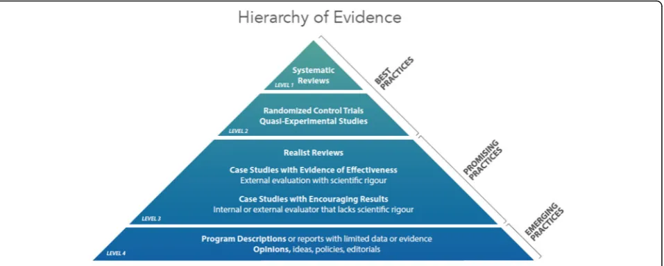 Fig. 2 Hierarchy of promising practices evidence