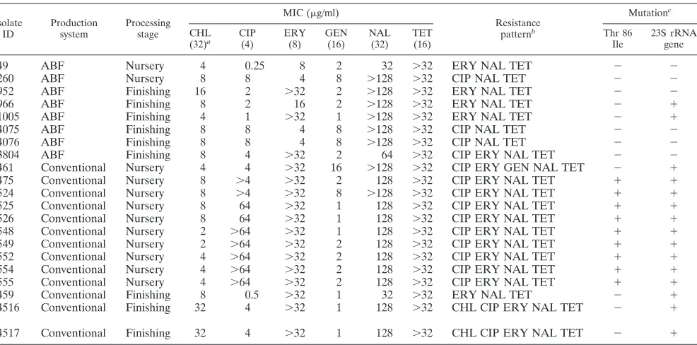 TABLE 3. Antimicrobial resistance and molecular characterization of C. coli isolates isolated from swine in this study