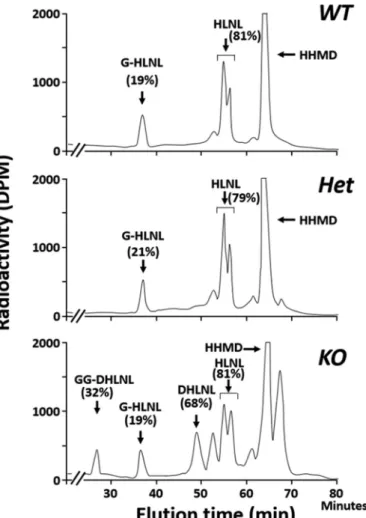 FIGURE 7. Typical chromatographic patterns of collagen cross-links of the base hydrolysates