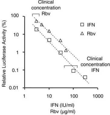 FIG. 5. Log dose-inhibition curve with IFN and ribavirin. Suppres-sion of reporter replicon replication was calculated by comparison with