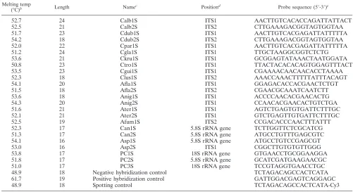 TABLE 1. Oligonucleotide probe sequencesa