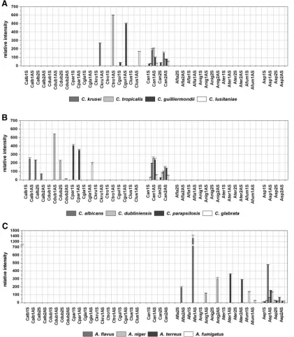 FIG. 2. Relative intensities after hybridization with labeled target DNA from the 12 target species