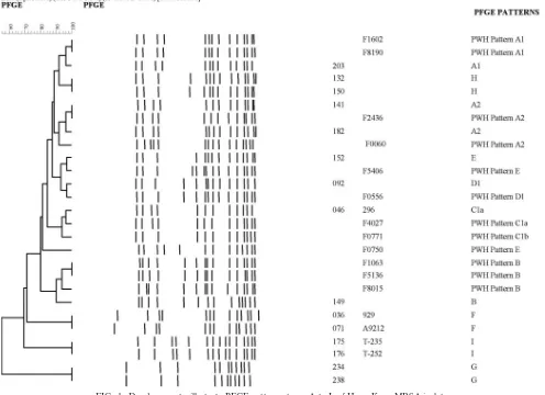 FIG. 1. Dendrogram to illustrate PFGE patterns, types A to I, of Hong Kong MRSA isolates.