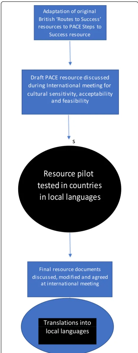 Fig. 4 Flow chart – cross-cultural adaptation of resources