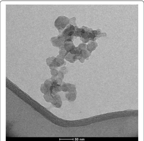 Fig. 1 The TEM image of chitosan nanoparticles (scale bar 50 nm). This figure shows that nanochitosan has the particle size below 50 nm
