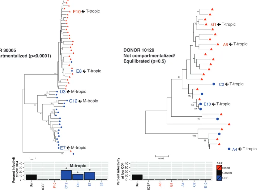 Figure 2. Compartmentalized viral replication in the CSF/CNS is associated with macrophage-tropic virus in the CSF