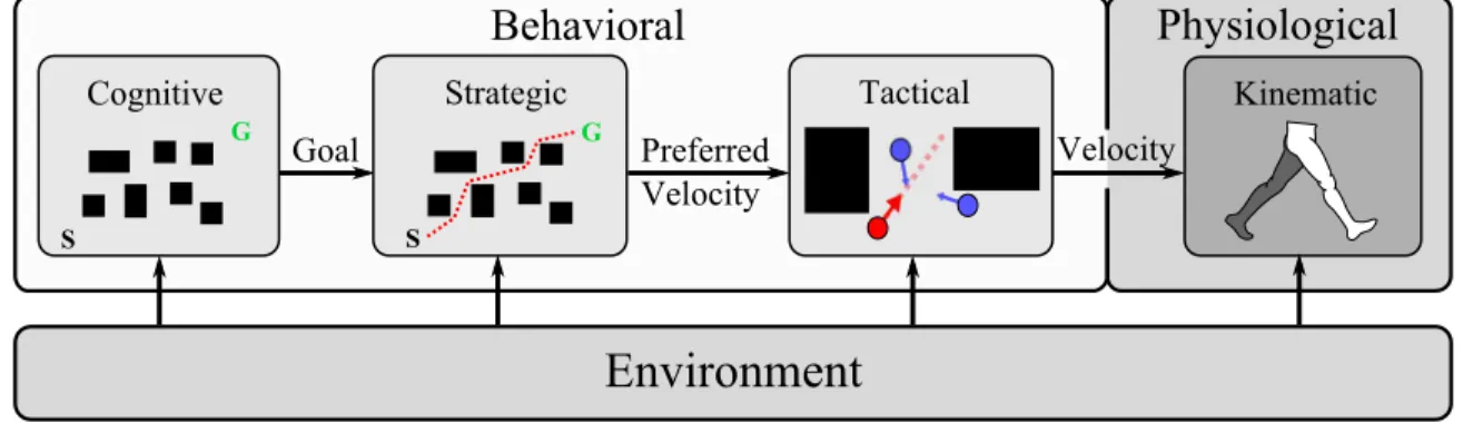 Figure 1.2: The architecture of a typical pedestrian simulator. Objectives are defined in the cognitive module and provided to the strategic module