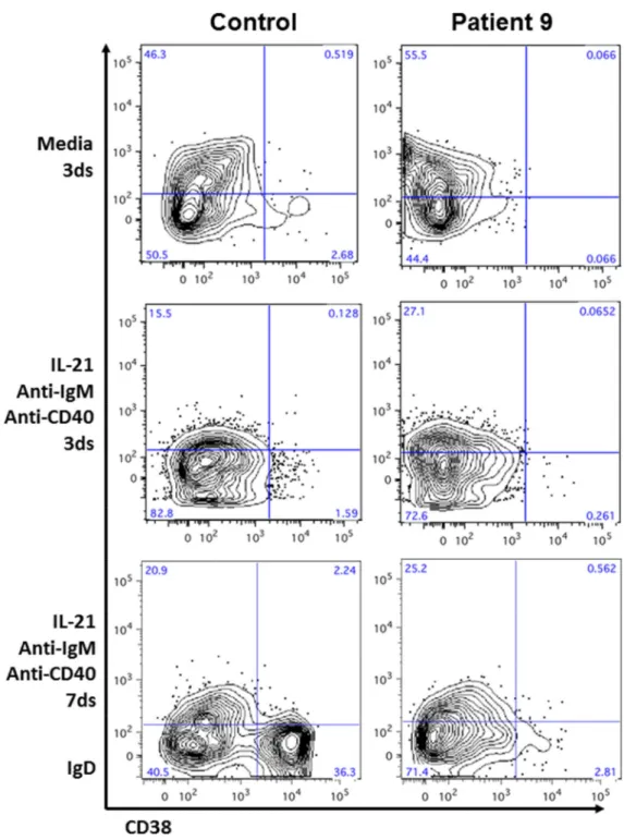 Figure 4. In vitro B cell differentiation