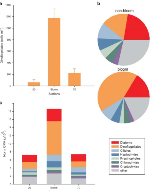 Figure 2 Comparison of dinoflagellate abundances between the bloom and non-bloom samples