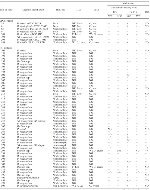 TABLE 1. Hemolysis pattern, growth on selective media, and motility tests of eight type strain Bacillus species and 60 isolatesreceived from sentinel laboratoriesa
