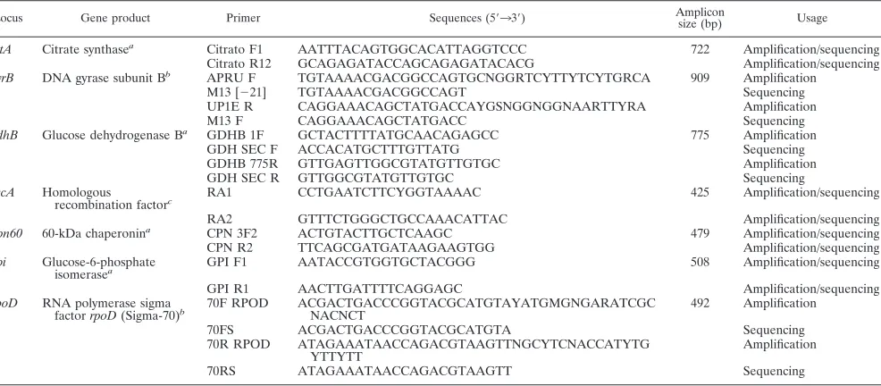 TABLE 3. Variation in loci used in the present A. baumannii MLST scheme