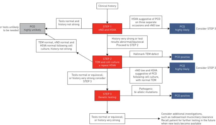 FIGURE 4 Following development of recommendations using the GRADE (Grading of Recommendations, Assessment, Development and Evaluation) approach, a Delphi survey allowed us to propose a diagnostic algorithm for primary ciliary dyskinesia (PCD)