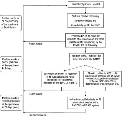 FIG. 1. TB Fast Track work algorithm. IHMT, Instituto de Higiene e Medicina Tropical; aver., average.