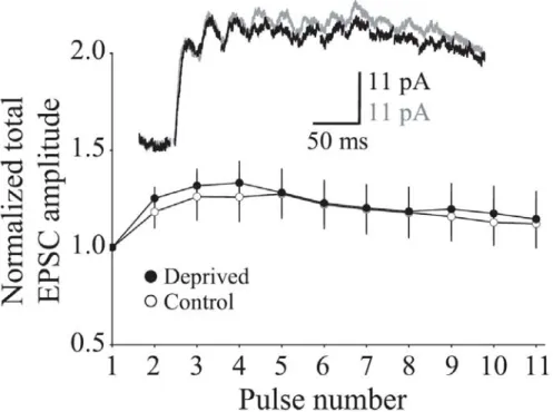 Figure 2-6:  Minimal stimulation fails to reveal deprivation-induced differences in the  temporal summation of NMDAR-mediated currents