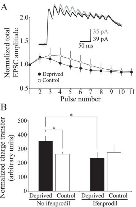 Figure 2-7:  The enhanced temporal summation of NMDAR EPSCs in deprived adult  cortex can be blocked by acute administration of ifenprodil, an NR2B specific 